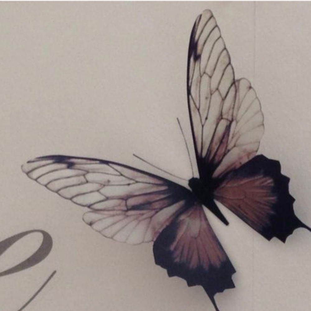 Meet your Posher, Araceli